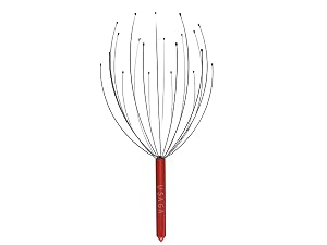 USAGA head massager