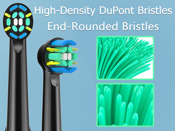 end-rounded bristles