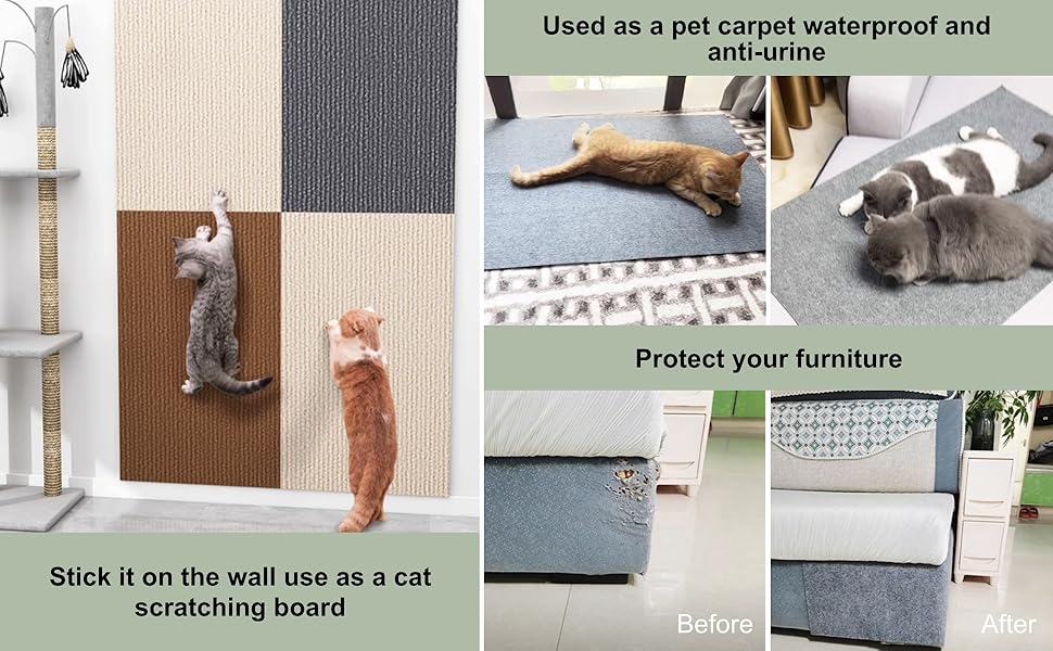 climbing shelves for cats