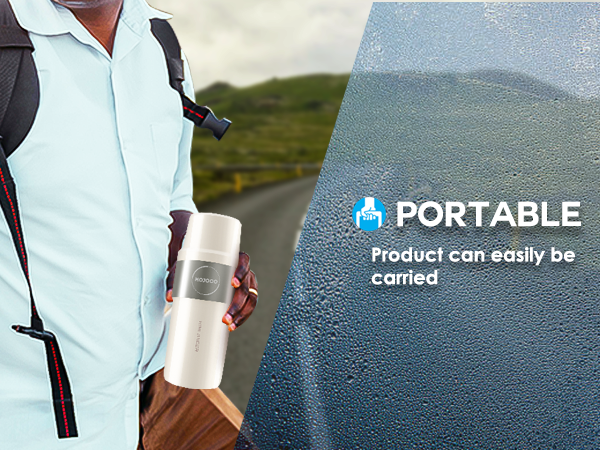 Portable