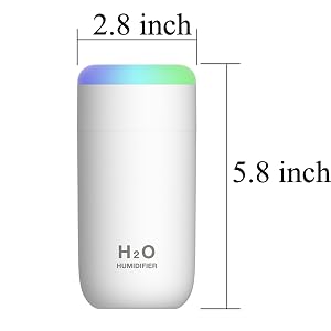 plant humidifier