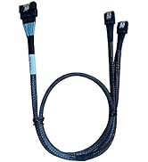 Diliving SlimSAS x8 to 2X SlimSAS x4,SFF-8654 74P to Two SFF-8654 38P 80CM Cable(Broadcom MPN 05-...
