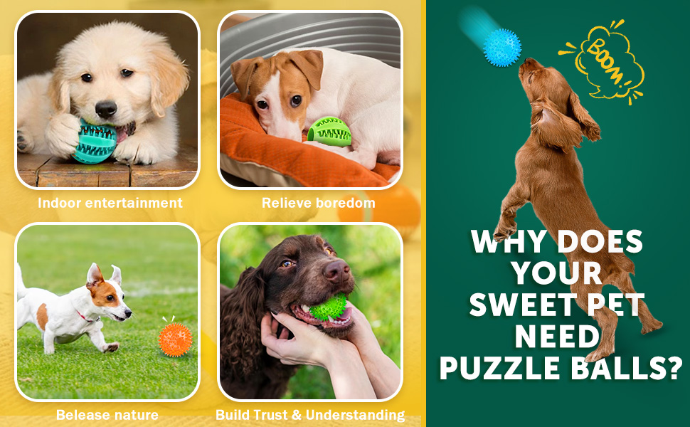 balls for dog