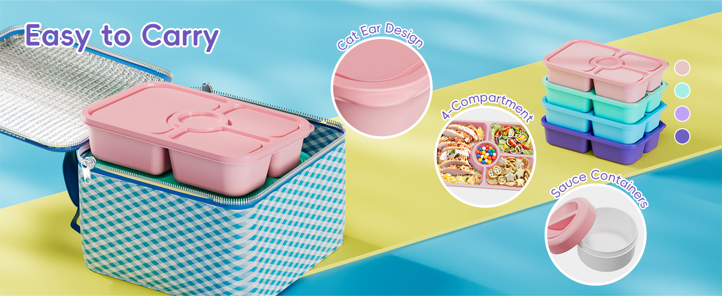 divided food storage containers