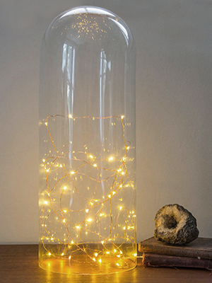 Fairy lights