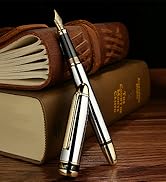 BEILUNER 315 Silver Chrome Fountain Pen,Stunning Luxury Pens with 24K Gold Accents, Gorgeous 24K ...