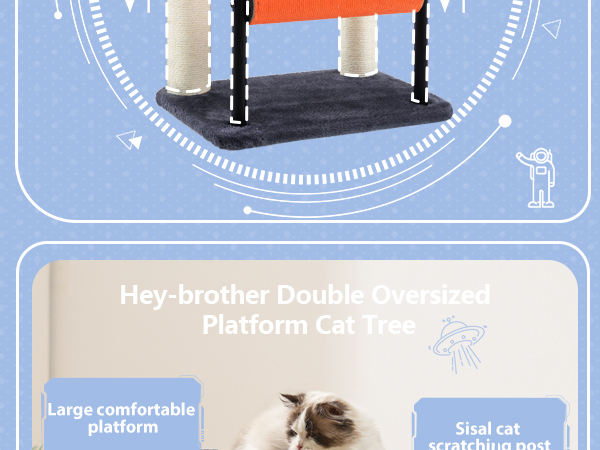 cat bed