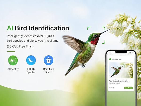 Bird Identification security camera