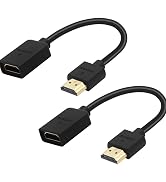 hdmi adapter