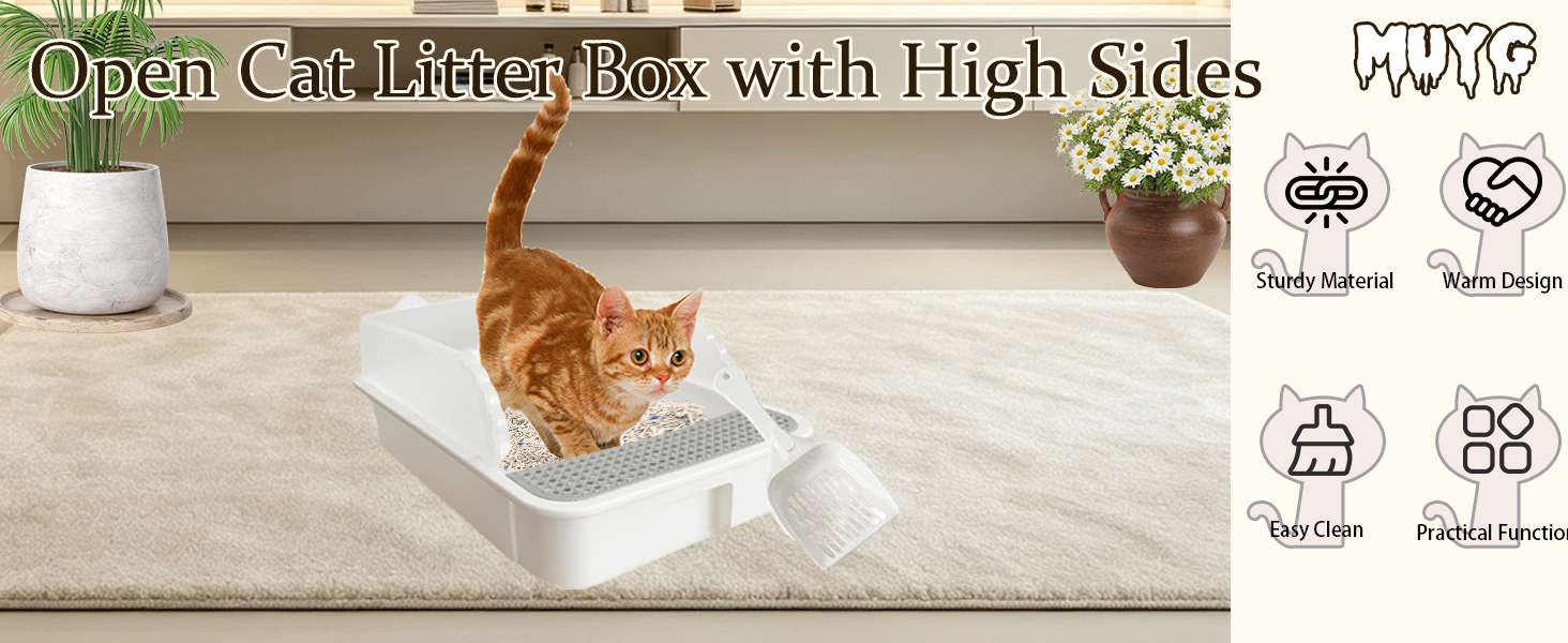 kitten sized litter box sifting