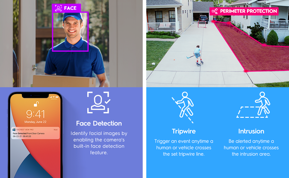 facial recognition, tripwire, instrusion
