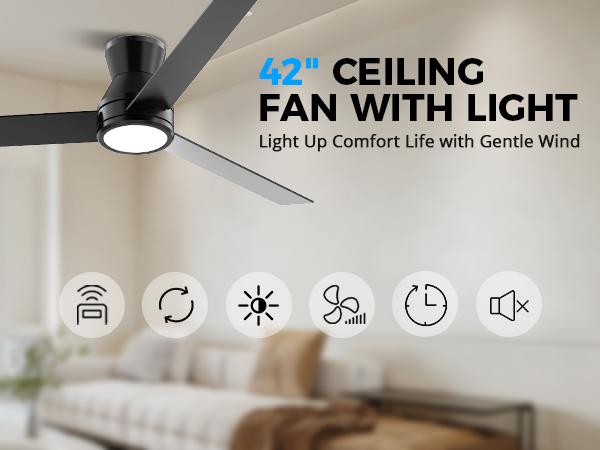 Ceiling Fans with Lights