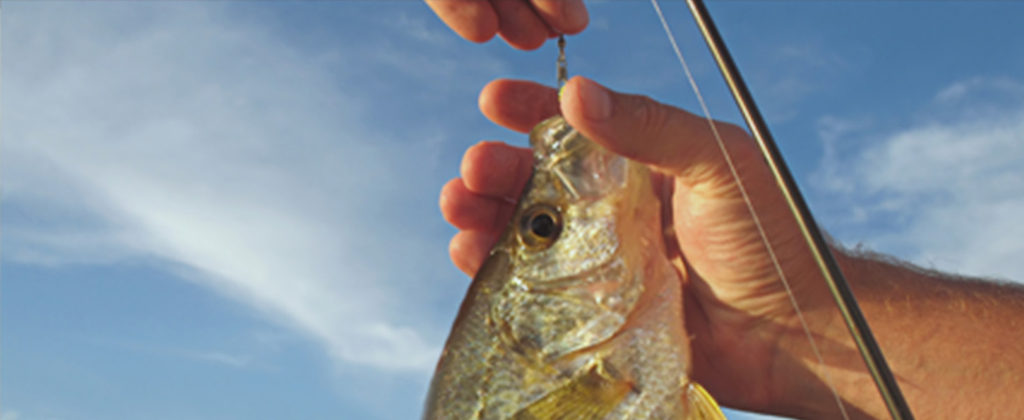 fishing swivel