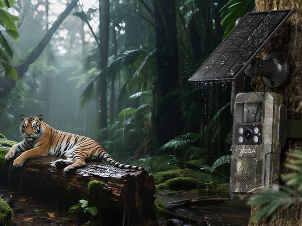 4g hunting cameras wireless outdoor