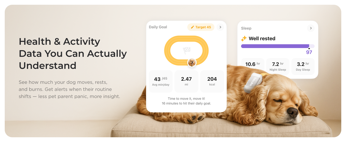 Petcube GPS Tracker for dogs