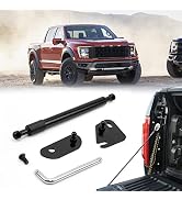Tailgate Assist Shock for Ford F150 2015-2023, Truck Tailgate Shock Accessories Compatible with 2...