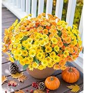 Daisy Artificial Flowers for Outdoors Summer Fall Decoration, 6 Bundles Fake Mums Silk Flowers fo...