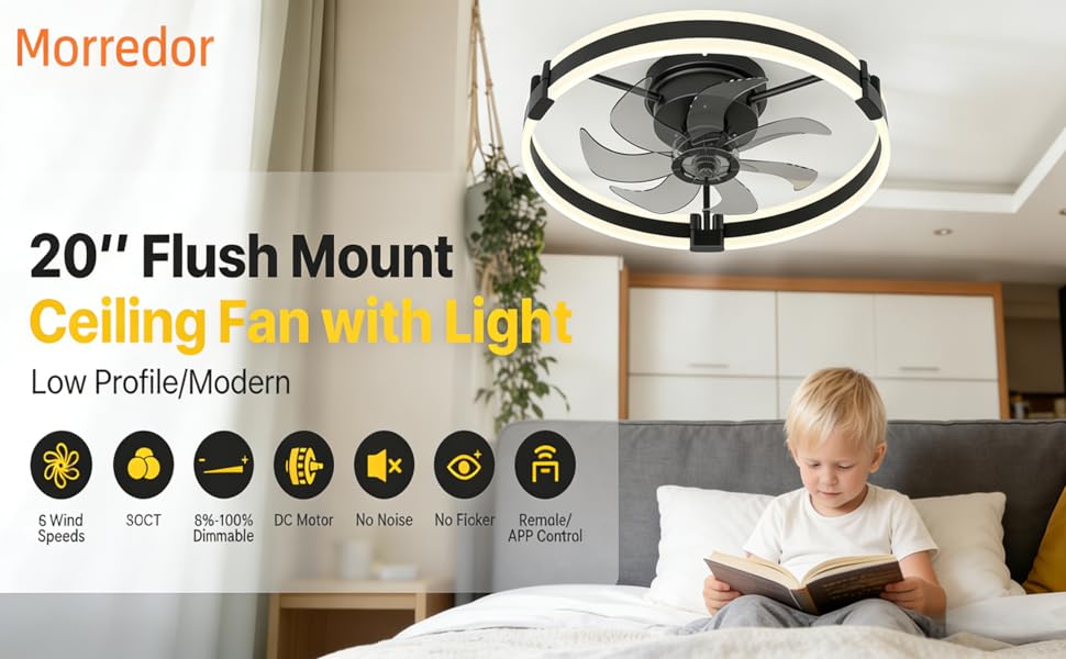 20'' Low Profile Ceiling Fan with Light