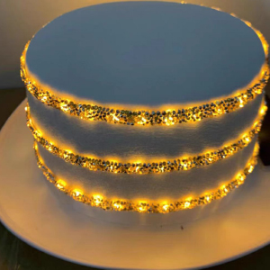 battery operated led lights with remote