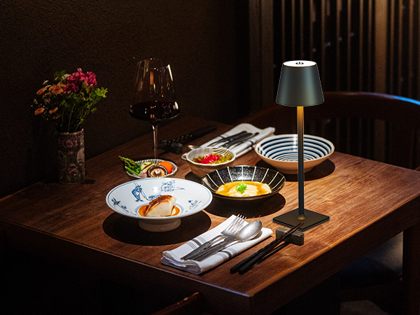 cordless lamp for table