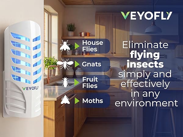 Fly Traps