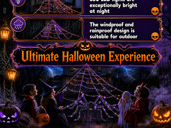 Halloween Decorations Outdoor Spider Web Lights with Glowing Spider