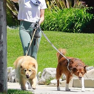 Diaper & Pet Waste Disposal Trash Bags