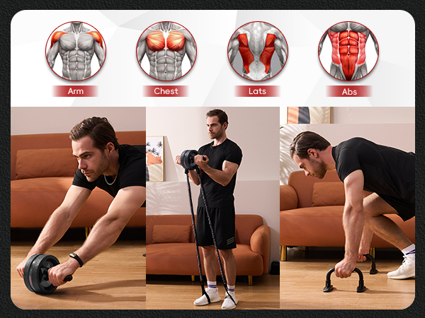 ab wheel