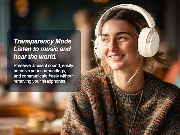 noise cancelling headphones with mic