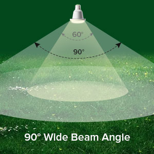 Wide Beam Angle