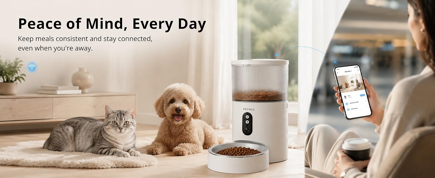 automatic cat feeder