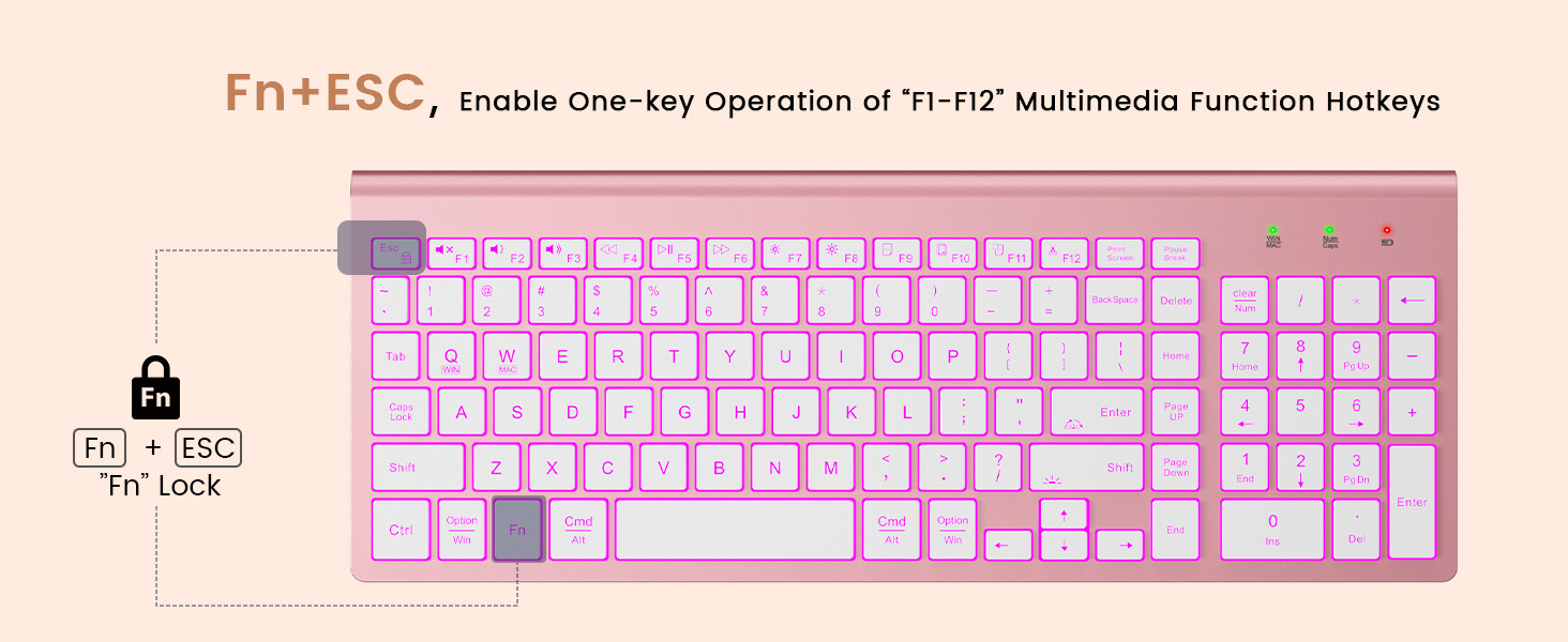 12 shortcut fn lock multimedia function