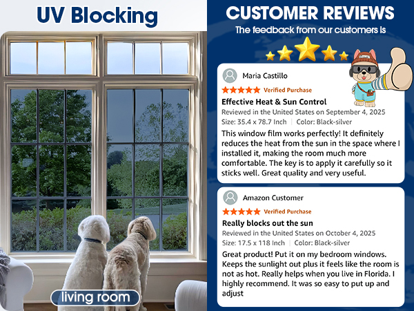 UV Blocking Window Film