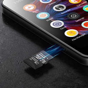 mp3 player with expandable memory