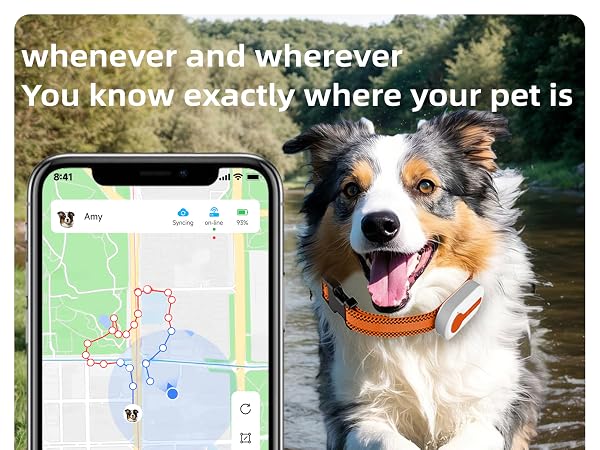 track your pet in real time