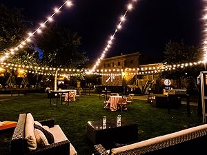 Landscape Light