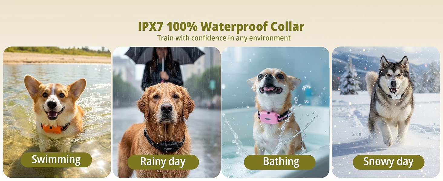 waterproof e collar for dogs training 4 pack