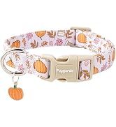 Faygarsle Fall Pumpkin and Leaves Pattern Dog Collar with Charm, Adjustable Pet Neckwear, Pink an...