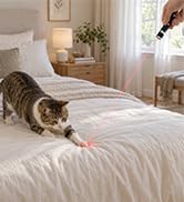 cat toy