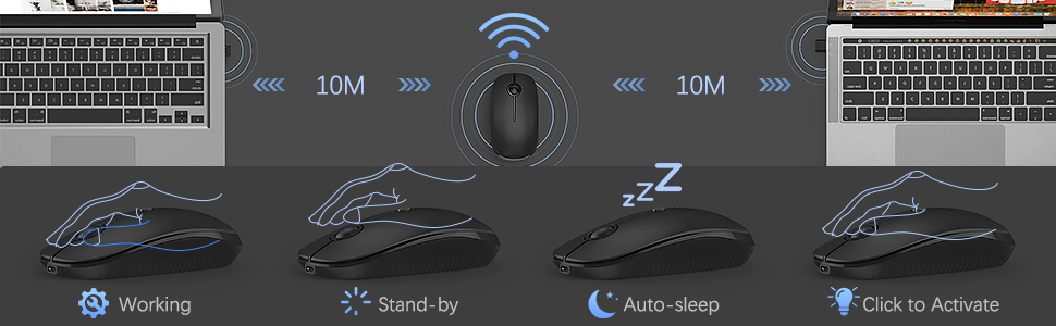 black type C mouse
