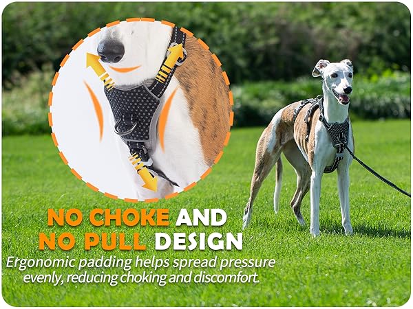 escape proof dog harness