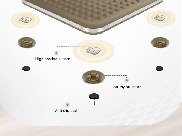 Digital Body Weight Scale