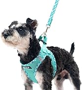 PUPTECK Dog Harness and Leash Set for Small Medium Dogs No Pull Step-in Soft Mesh Puppy Cat Vest ...