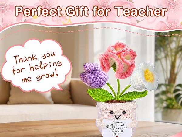 teacher appreciation gifts