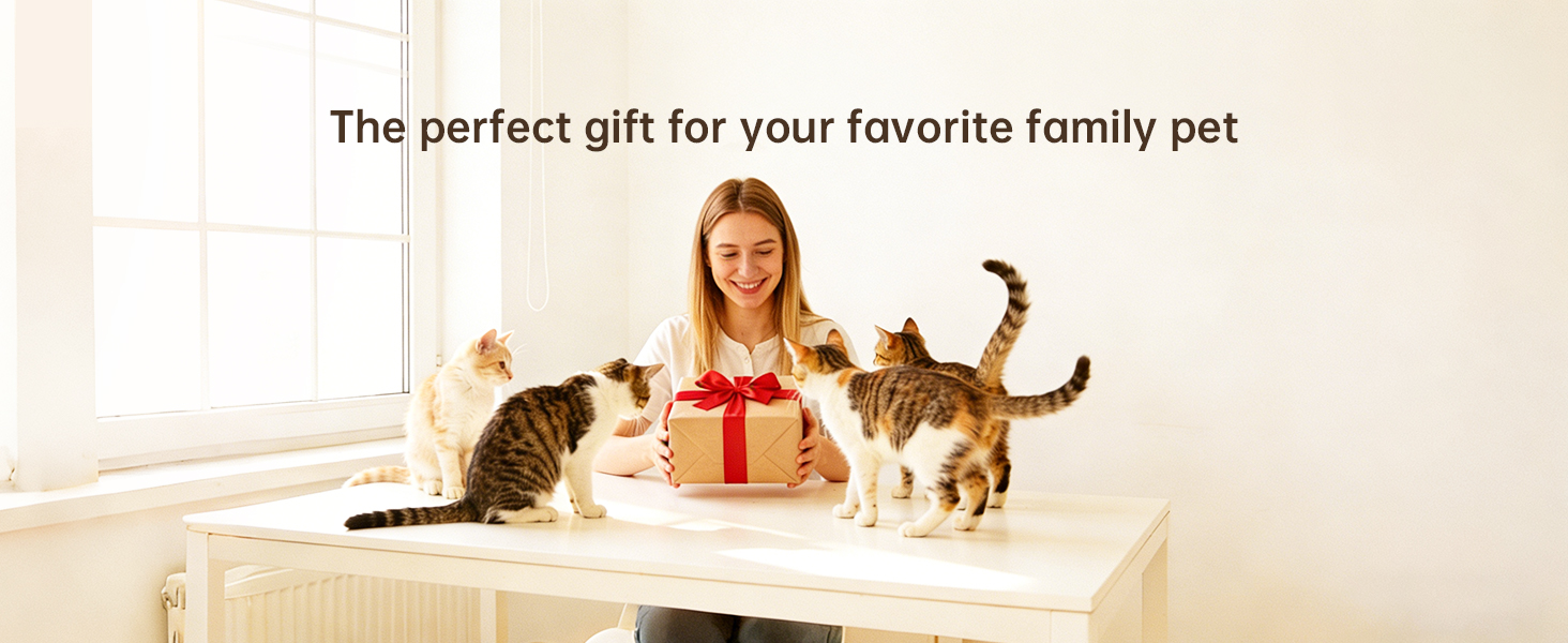 pet cat supplies automatic feeder automatic pet feeder automatic feeder cat dry food