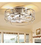 ZYD Caged Ceiling Fan with Light, 12" Farmhouse Ceiling Fans with Lights and Remote Flush Mount, ...