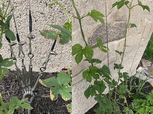 garden wire tensioner