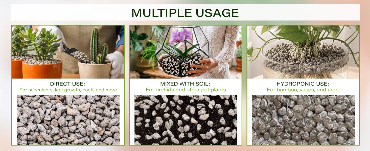pumice for plant
