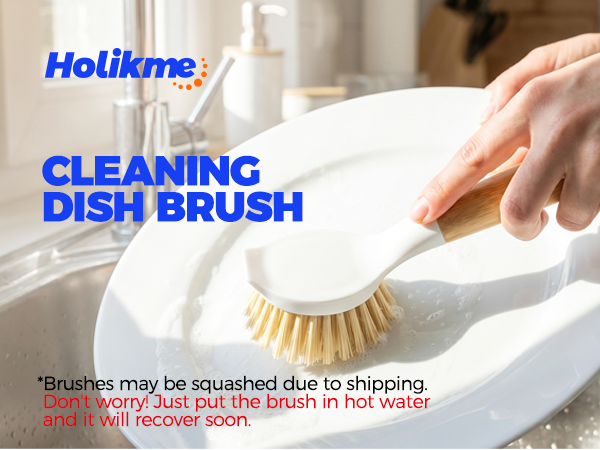 dish brush