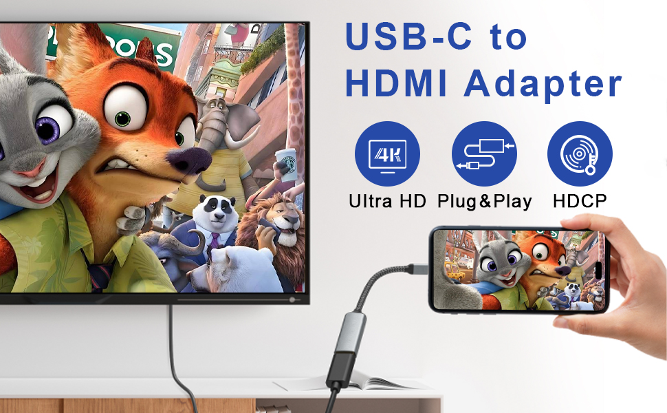 USB-C to HDMI Adapter